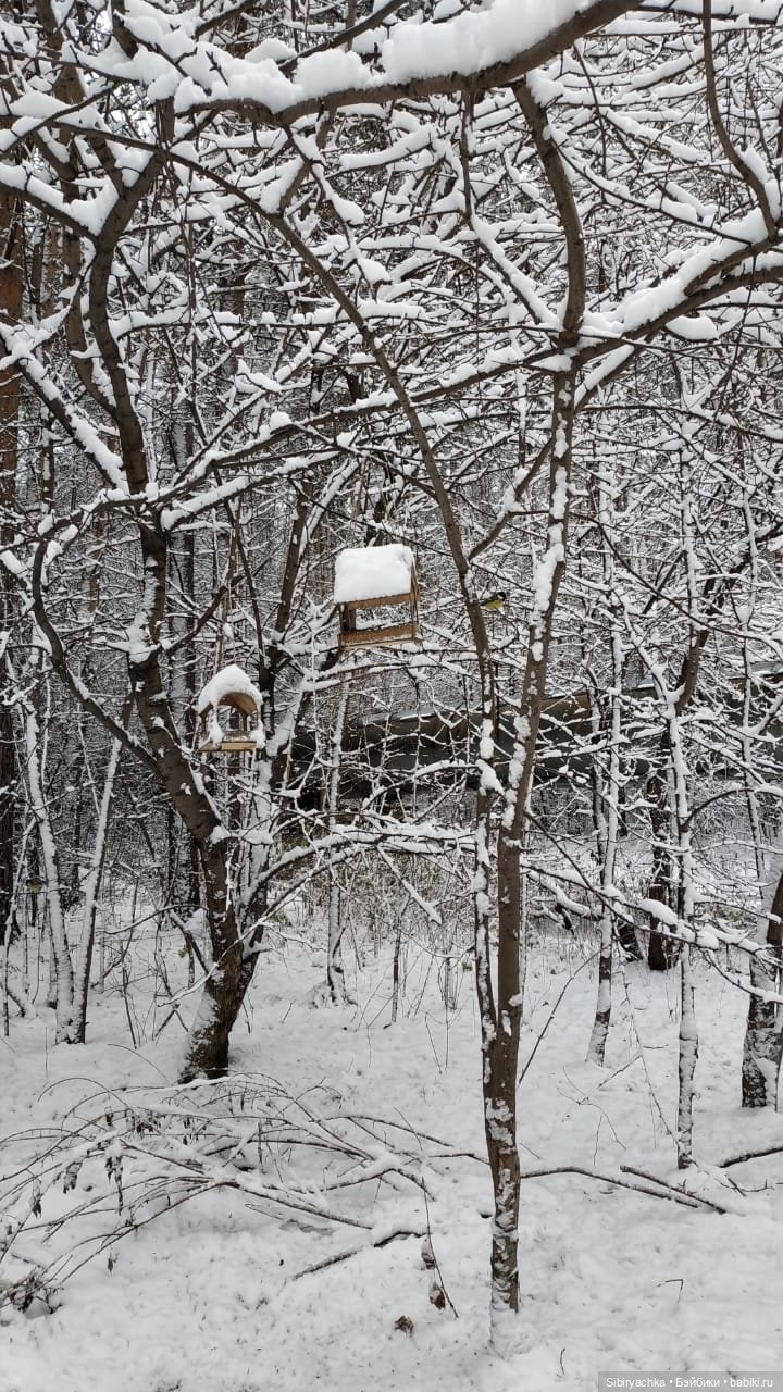 Тайны заснеженного леса — Российские куклы Весна