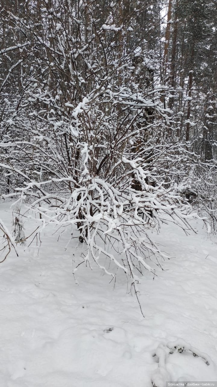 Тайны заснеженного леса — Российские куклы Весна