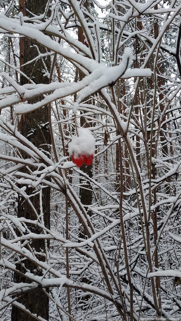 Тайны заснеженного леса — Российские куклы Весна (фото 2)