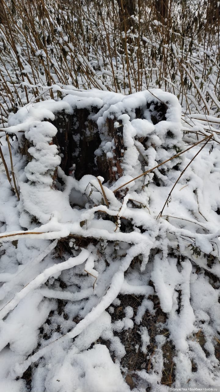 Тайны заснеженного леса — Российские куклы Весна
