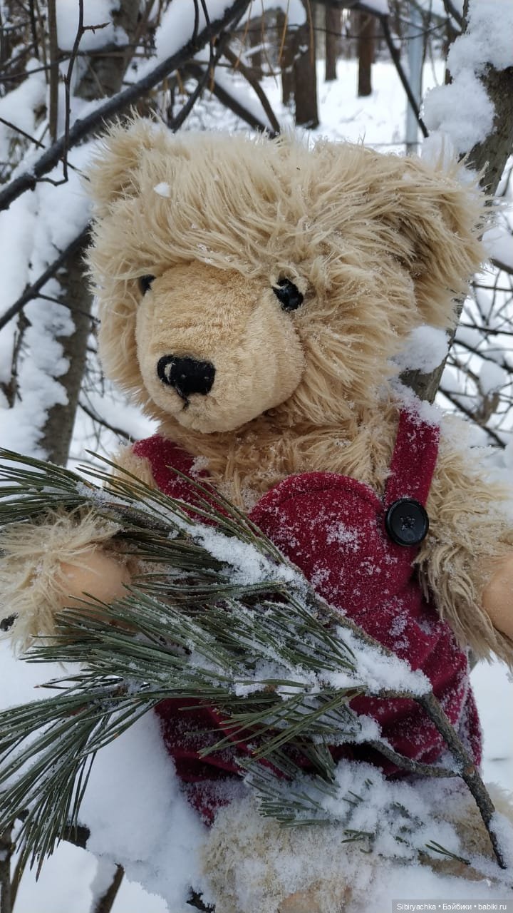 Как Глаша искала в лесу медведя