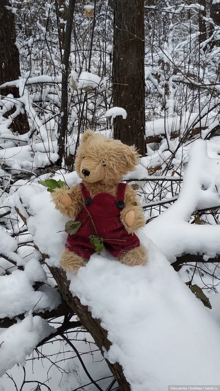 Как Глаша искала в лесу медведя (фото 5)