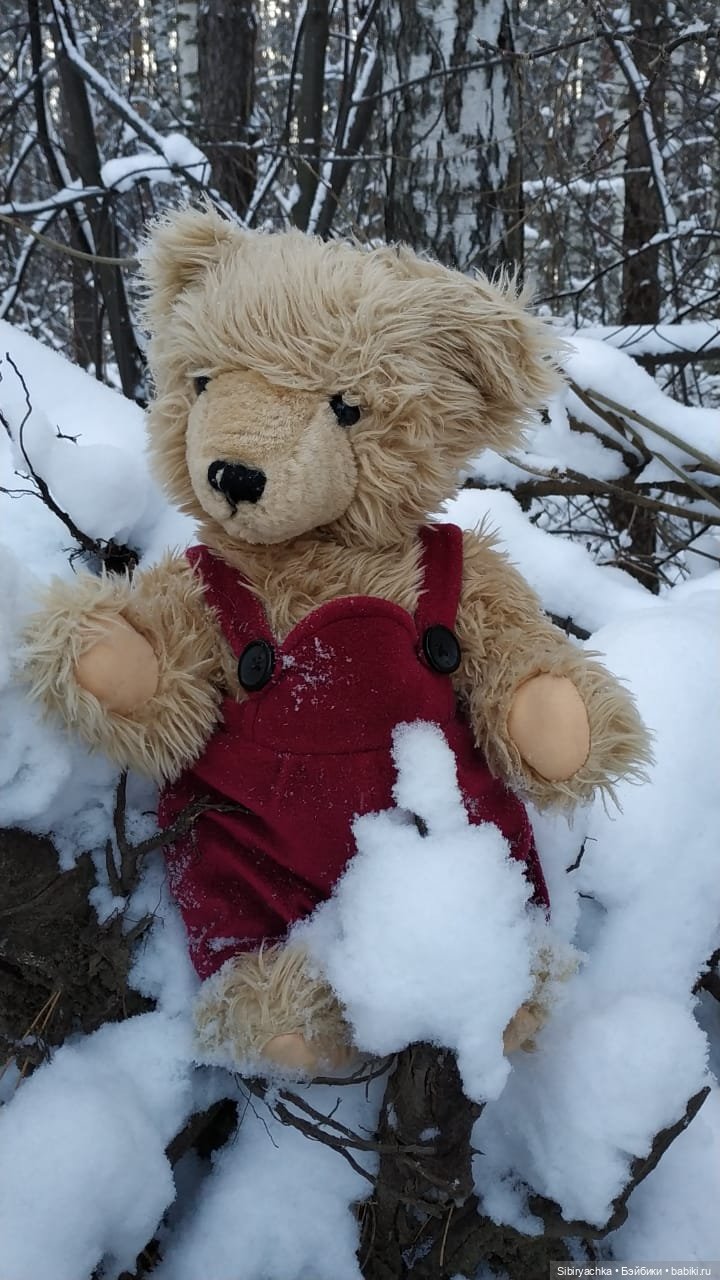 Как Глаша искала в лесу медведя (фото 10)