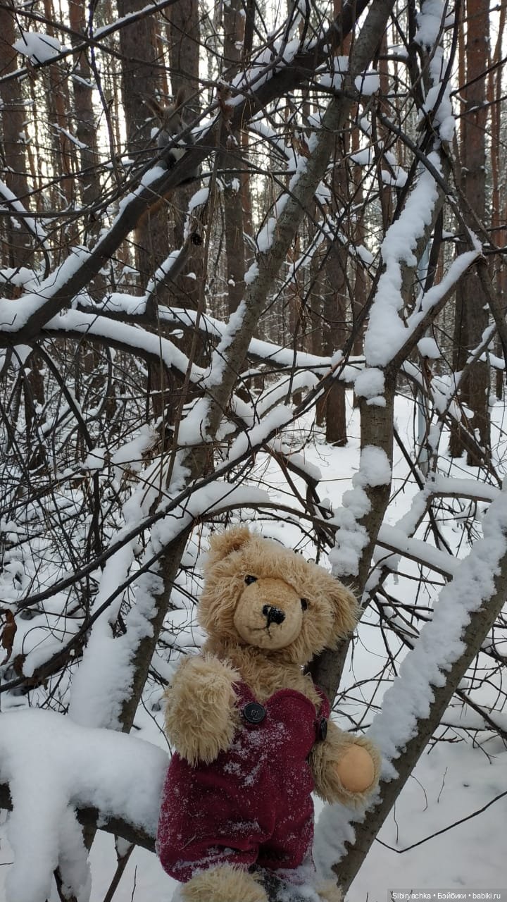 Как Глаша искала в лесу медведя