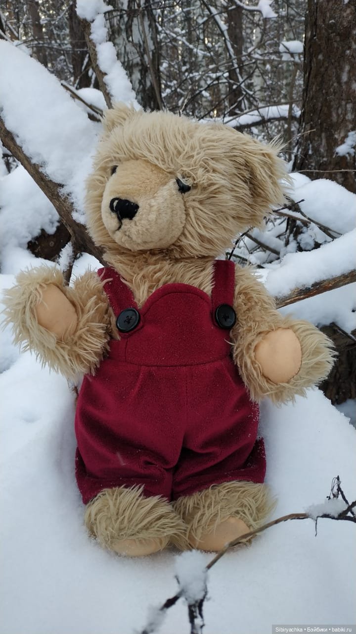 Как Глаша искала в лесу медведя (фото 9)