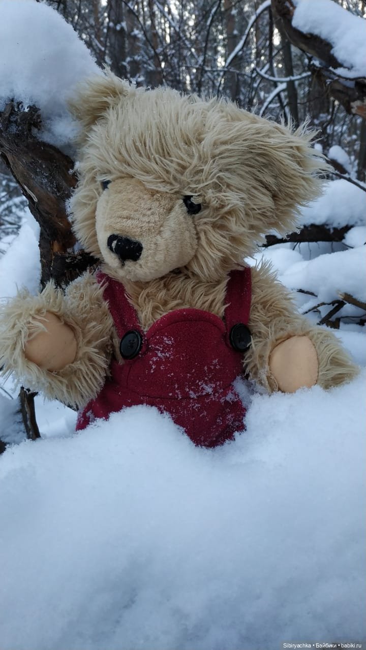 Как Глаша искала в лесу медведя (фото 8)