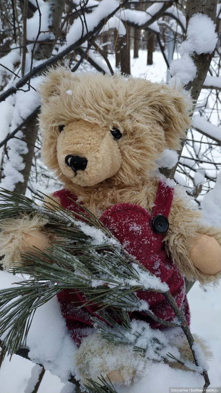 Как Глаша искала в лесу медведя