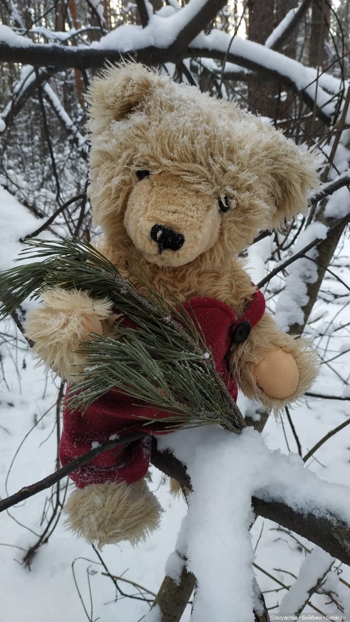 Как Глаша искала в лесу медведя