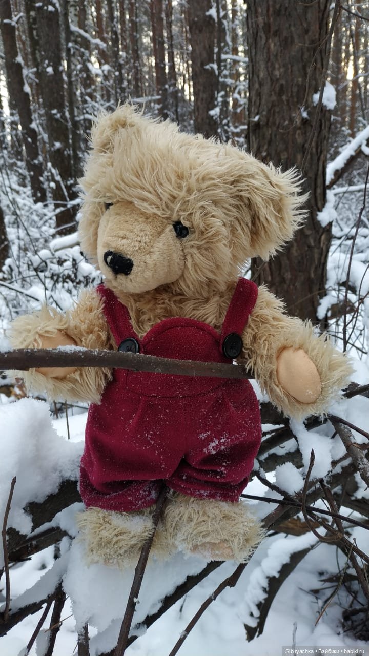 Как Глаша искала в лесу медведя