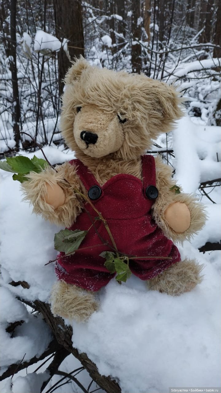 Как Глаша искала в лесу медведя (фото 6)