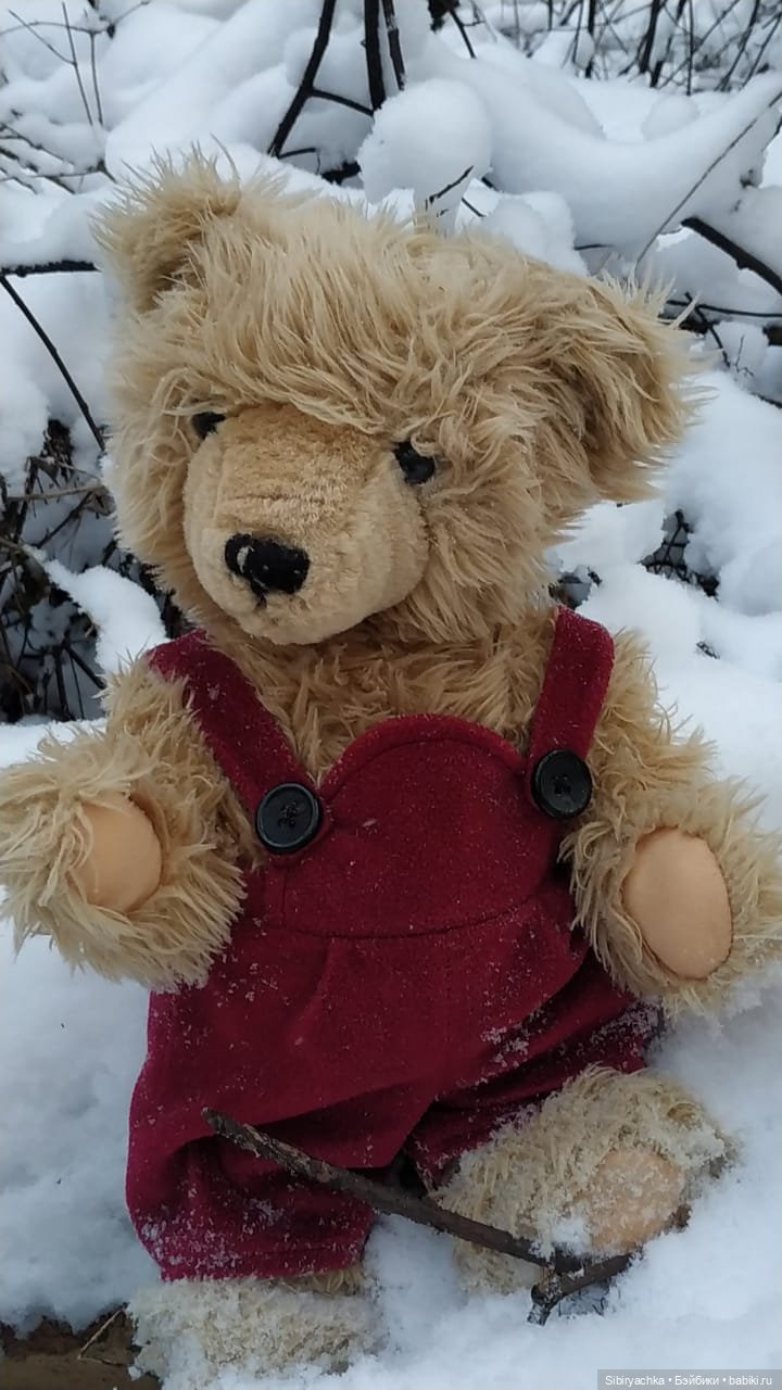 Как Глаша искала в лесу медведя