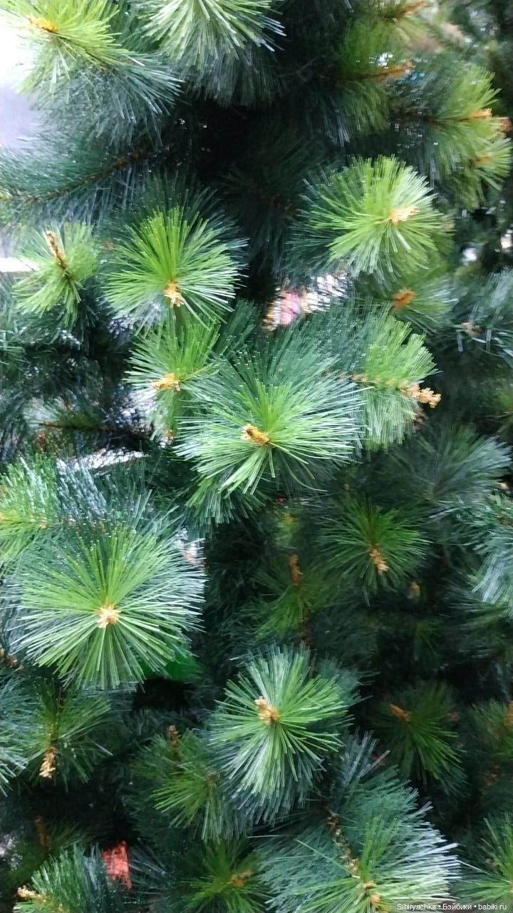 Новогодний ассортимент канцелярского магазина