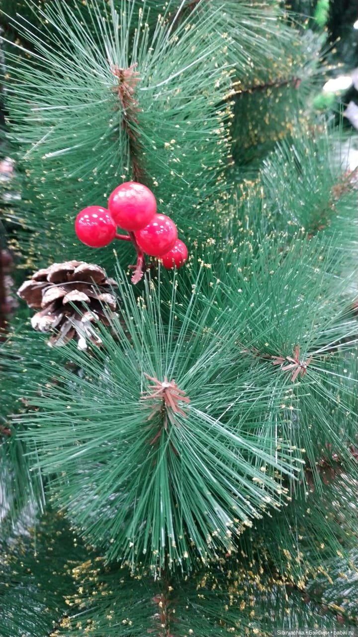 Василёк в поисках вкусного интересного к Новому году