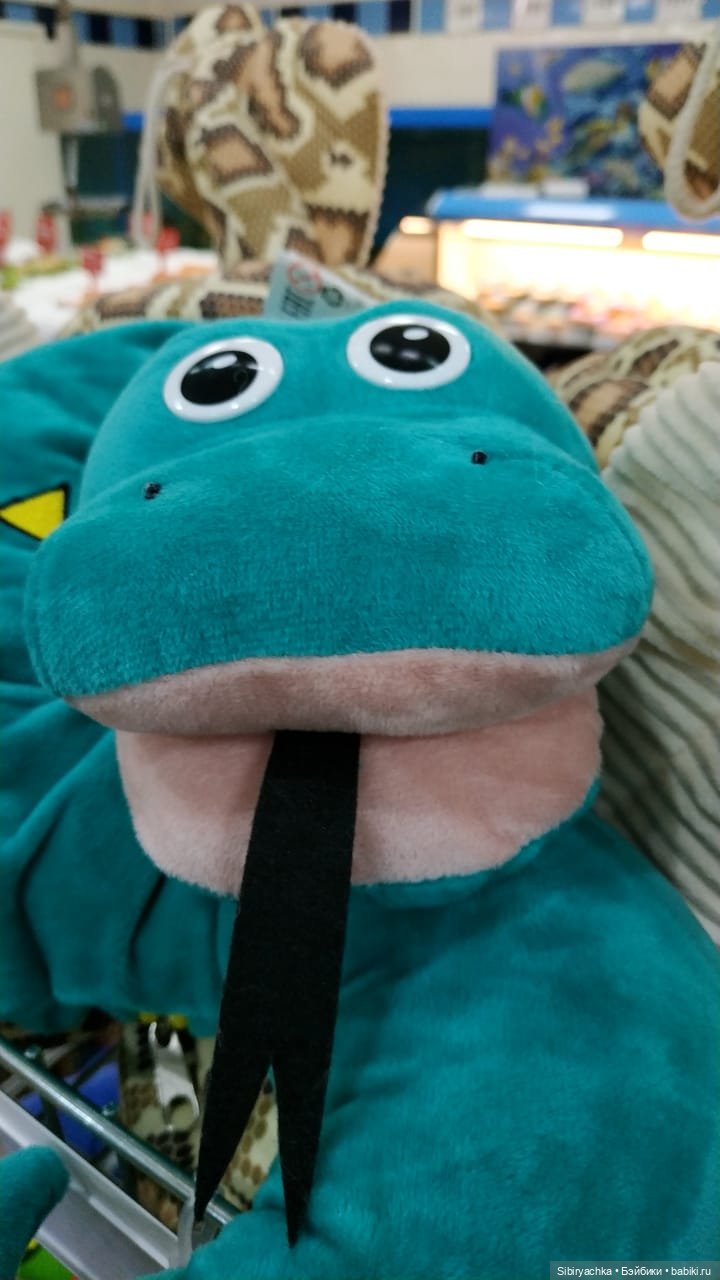 Василёк в поисках вкусного интересного к Новому году