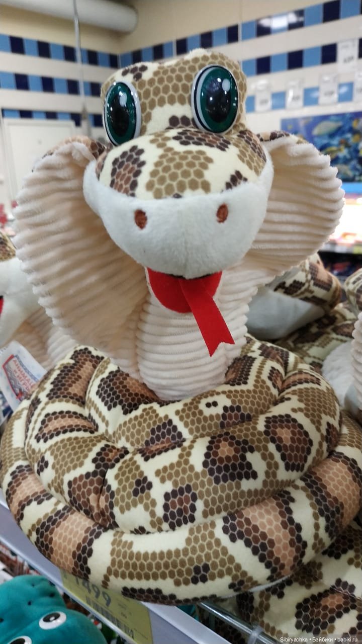 Василёк в поисках вкусного интересного к Новому году