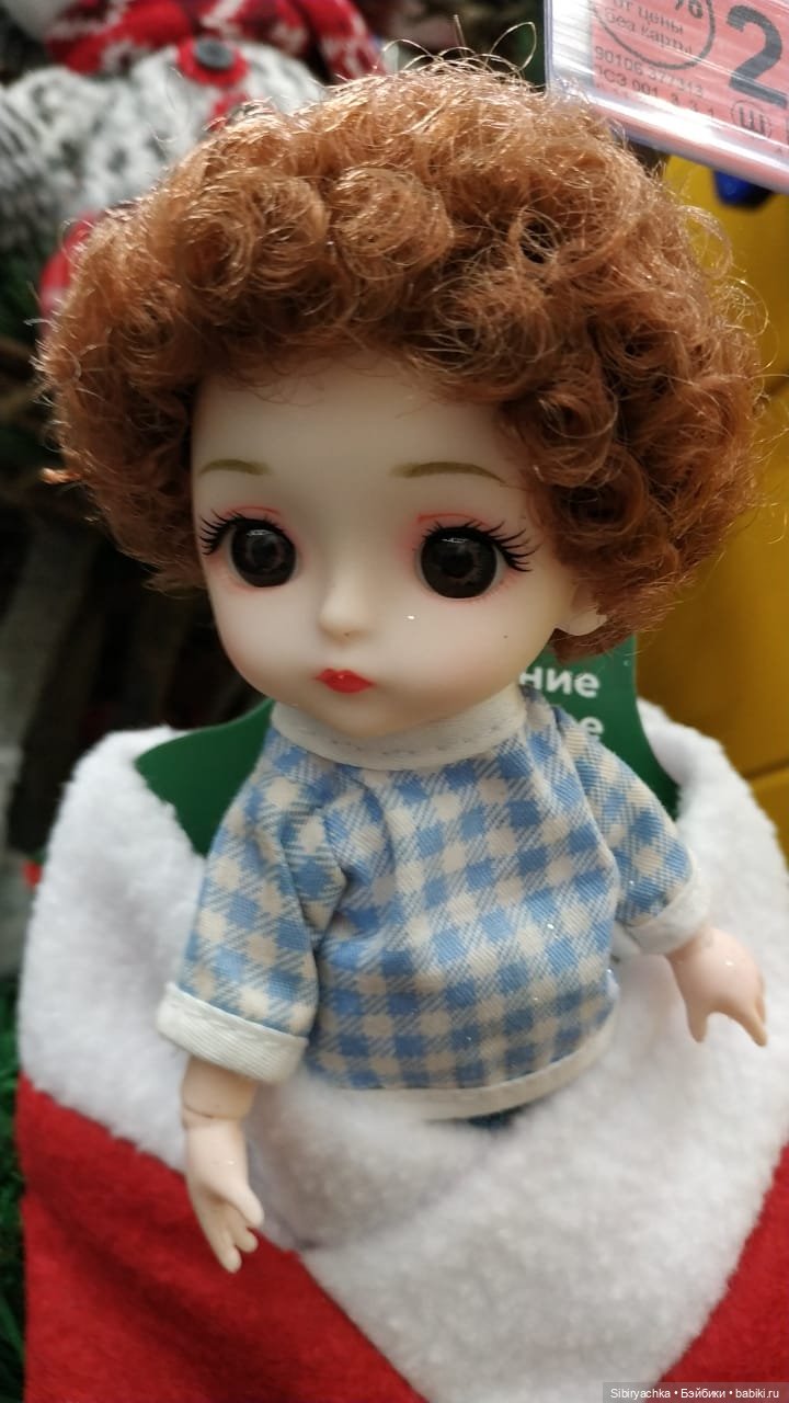 Василёк в поисках вкусного интересного к Новому году