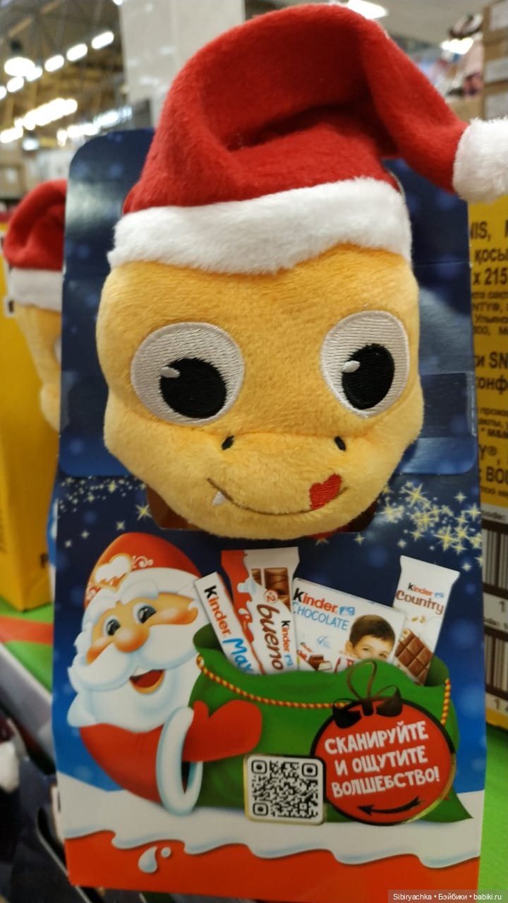 Василёк в поисках вкусного интересного к Новому году (фото 2)