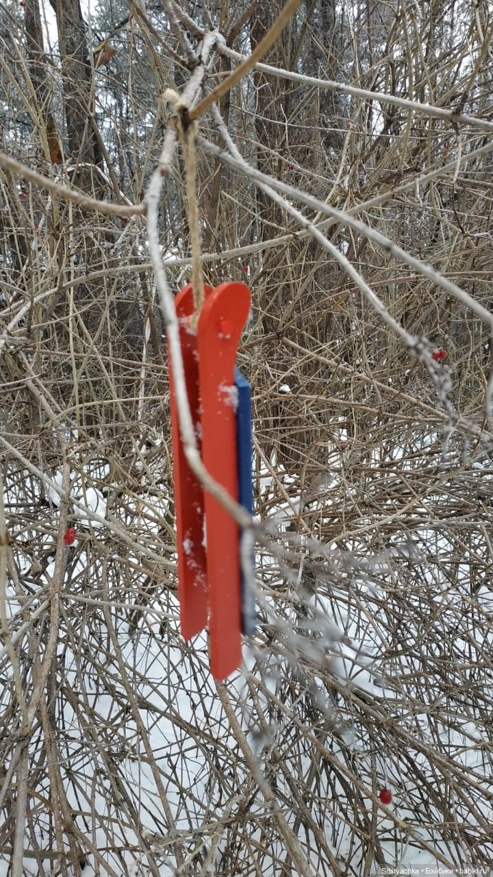 Глаша и Арина гуляют в лесу (фото 10)