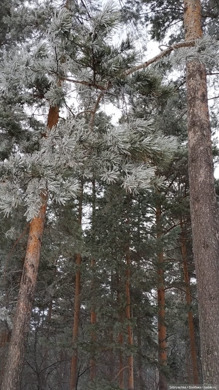 Глаша и Арина гуляют в лесу