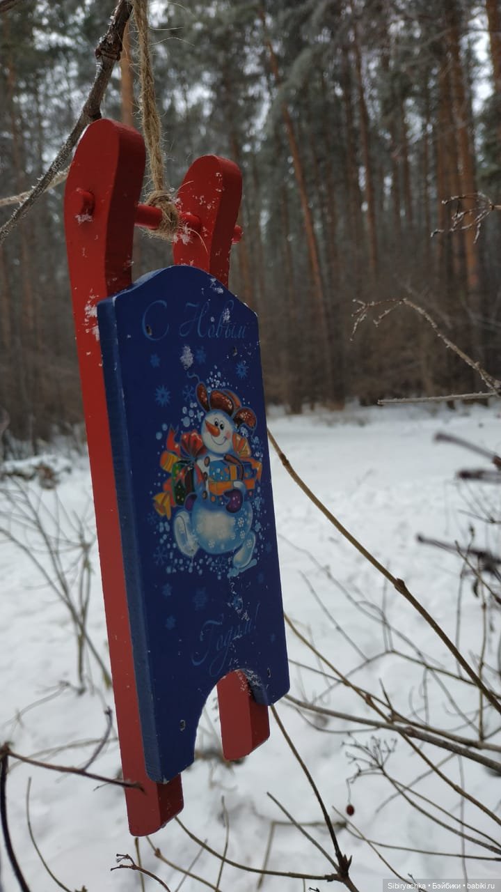 Глаша и Арина гуляют в лесу