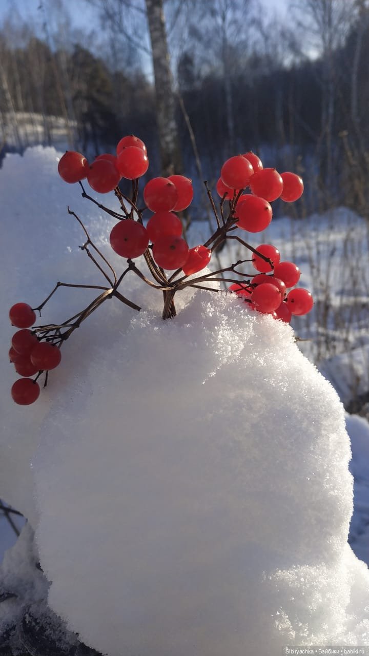 Прогулка Василька — Игровые куклы разных производителей (Разное): редкие бренды (фото 6)