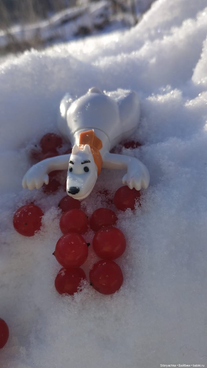 Прогулка Василька — Игровые куклы разных производителей (Разное): редкие бренды