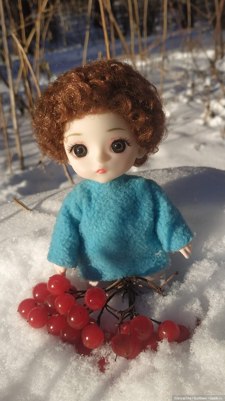 Прогулка Василька — Игровые куклы разных производителей (Разное): редкие бренды (фото 5)