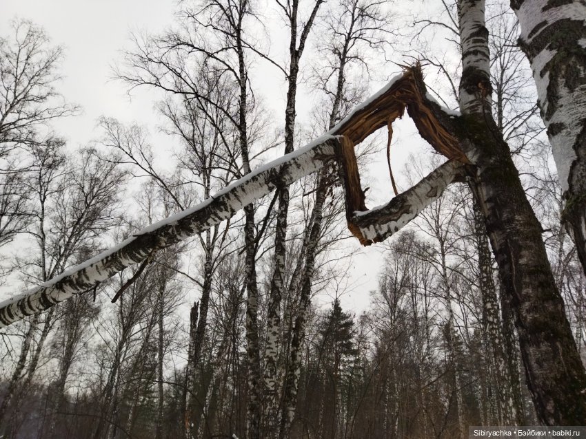 Три друга и одни сани — Игровые куклы разных производителей (Разное): редкие бренды (фото 4)