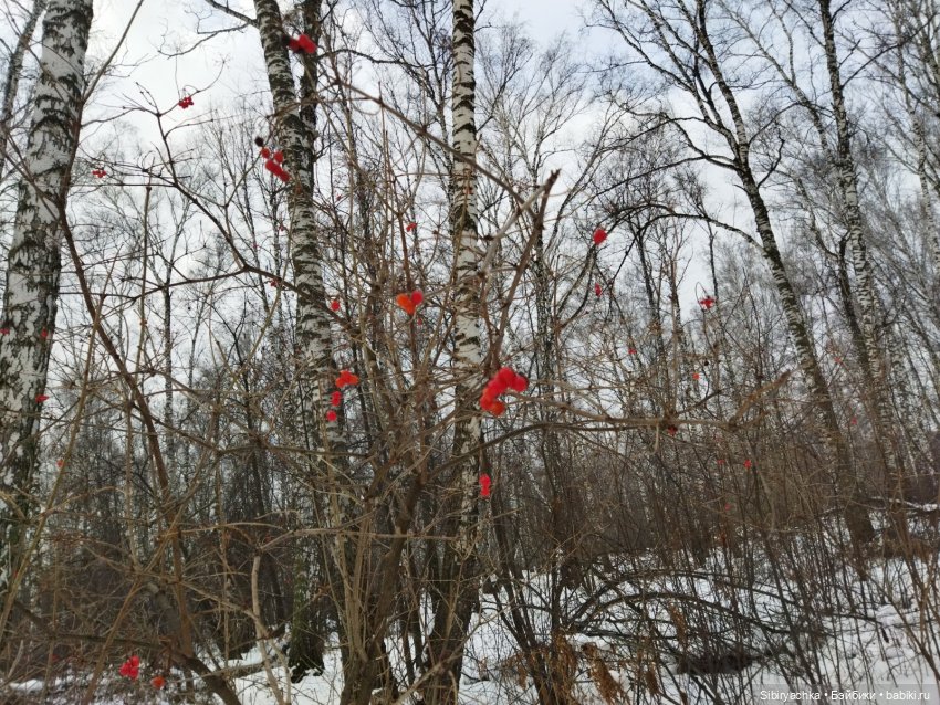 Три друга и одни сани — Игровые куклы разных производителей (Разное): редкие бренды (фото 5)