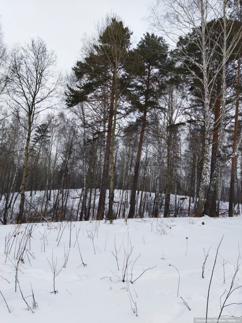 Три друга и одни сани — Игровые куклы разных производителей (Разное): редкие бренды (фото 2)