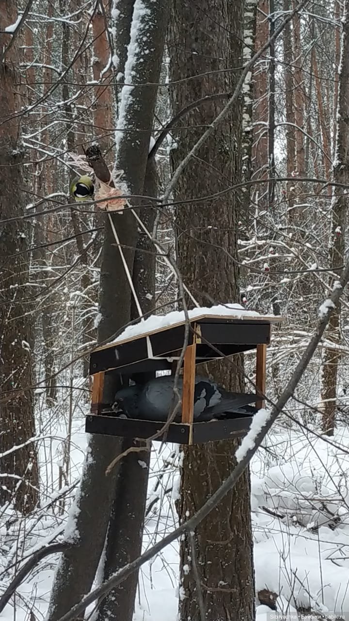 Три друга и одни сани — Игровые куклы разных производителей (Разное): редкие бренды