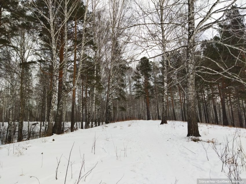 Три друга и одни сани — Игровые куклы разных производителей (Разное): редкие бренды