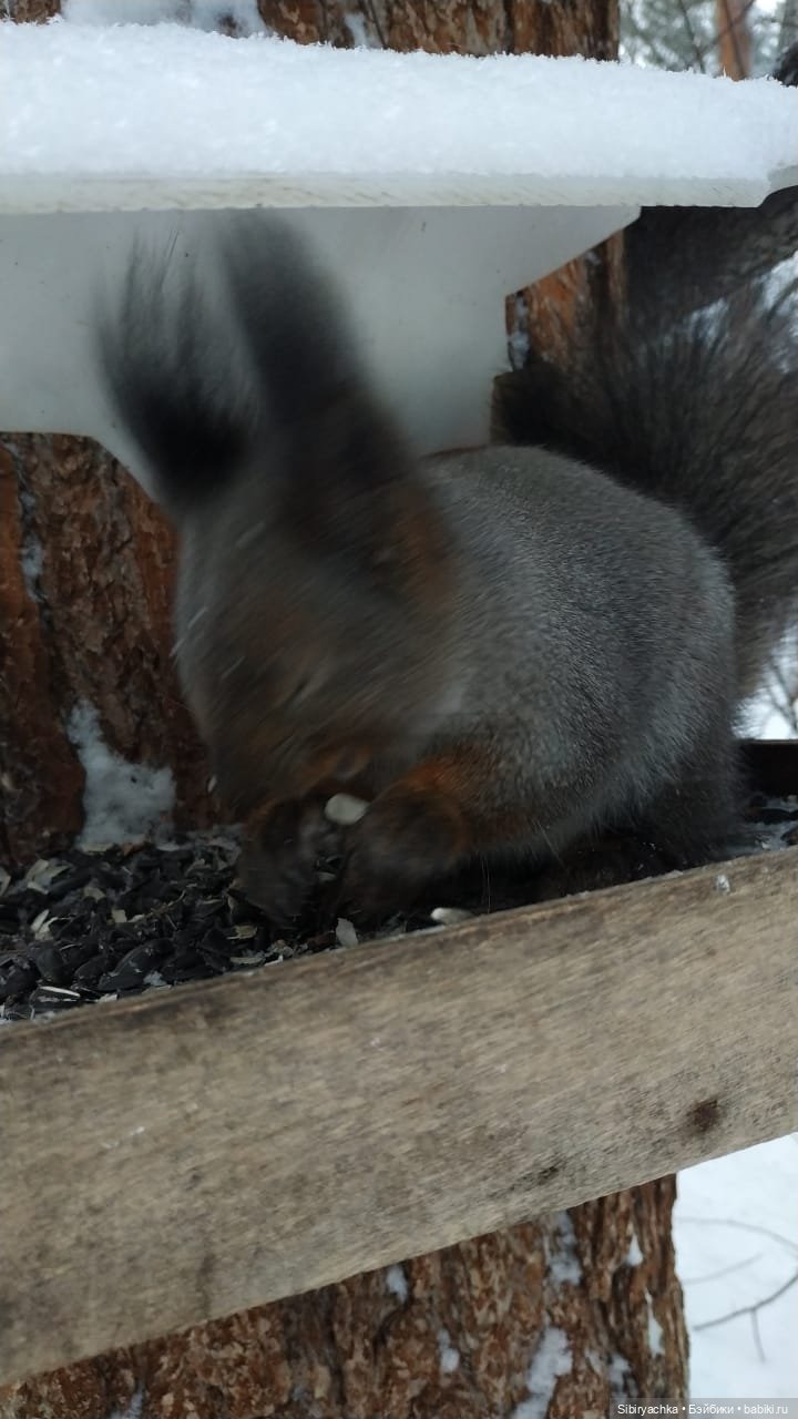 Первая прогулка Лизоньки в лесу