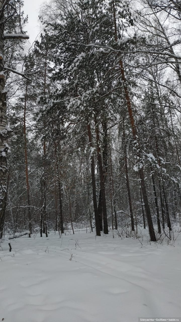 Первая прогулка Лизоньки в лесу