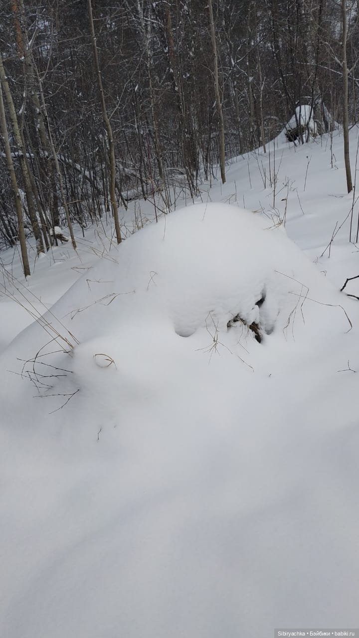 Первая прогулка Лизоньки в лесу
