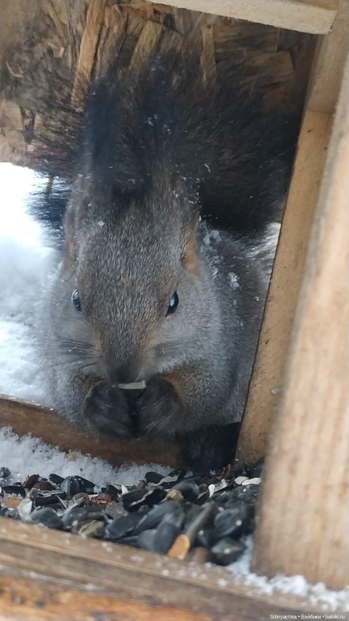 Первая прогулка Лизоньки в лесу (фото 10)