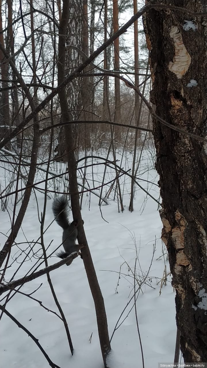 Первая прогулка Лизоньки в лесу