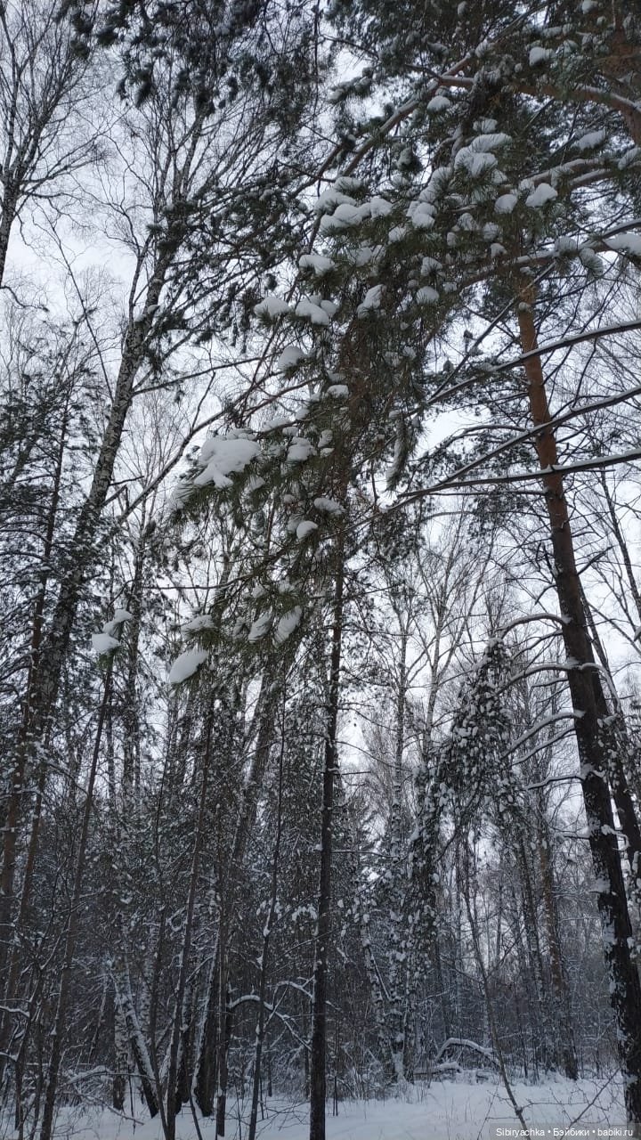 Первая прогулка Лизоньки в лесу