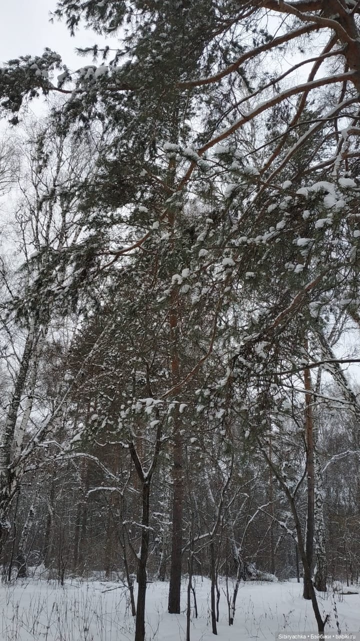 Первая прогулка Лизоньки в лесу