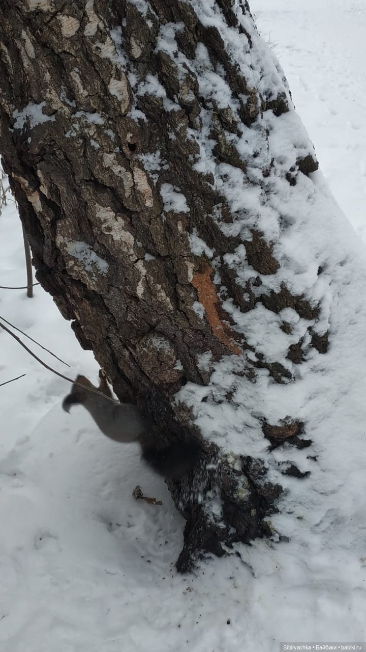 Первая прогулка Лизоньки в лесу