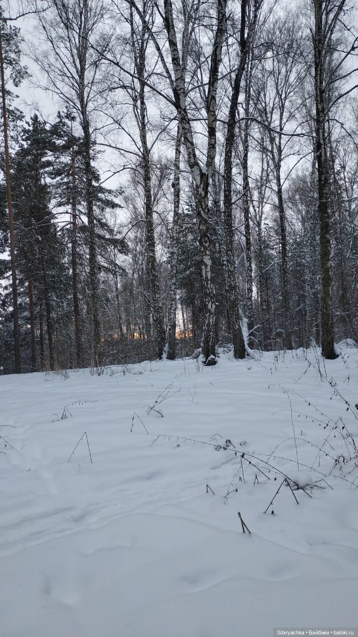 Первая прогулка Лизоньки в лесу