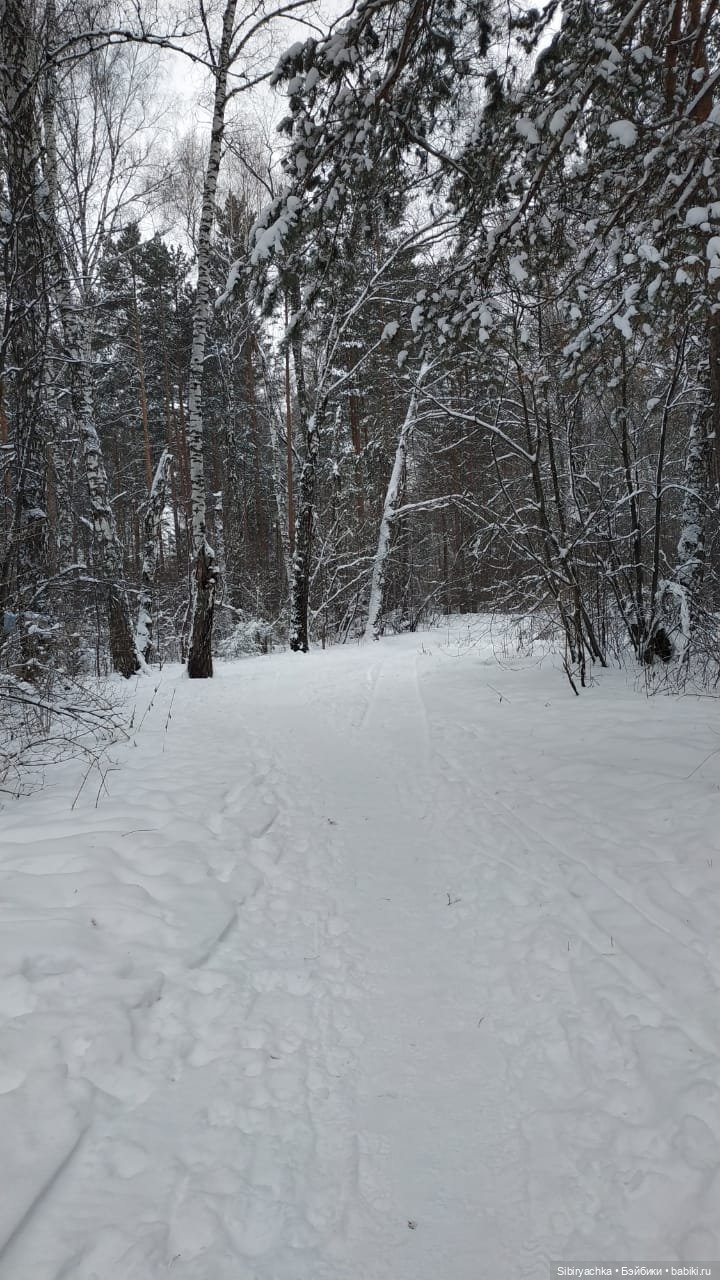 Первая прогулка Лизоньки в лесу