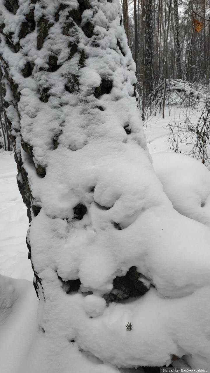 Первая прогулка Лизоньки в лесу