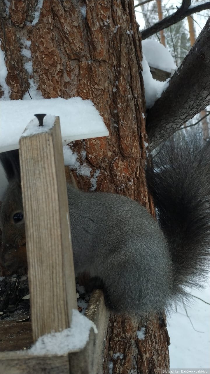 Первая прогулка Лизоньки в лесу