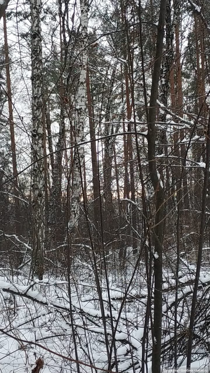 Первая прогулка Лизоньки в лесу