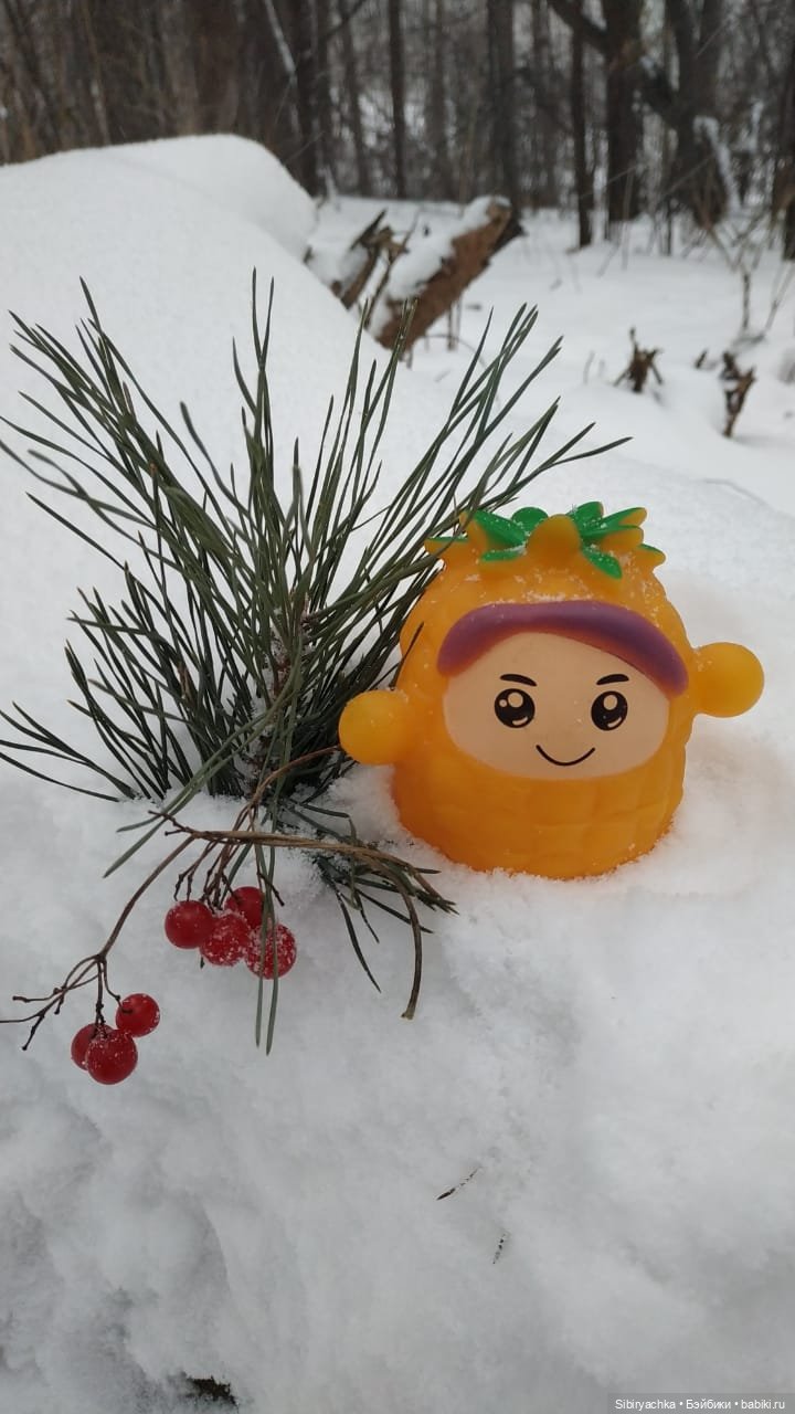 Как Настенька и Ананас Ананасович Сибирский в лесу гуляли