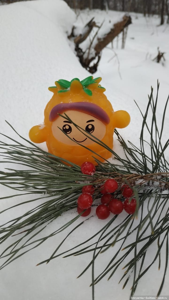 Как Настенька и Ананас Ананасович Сибирский в лесу гуляли