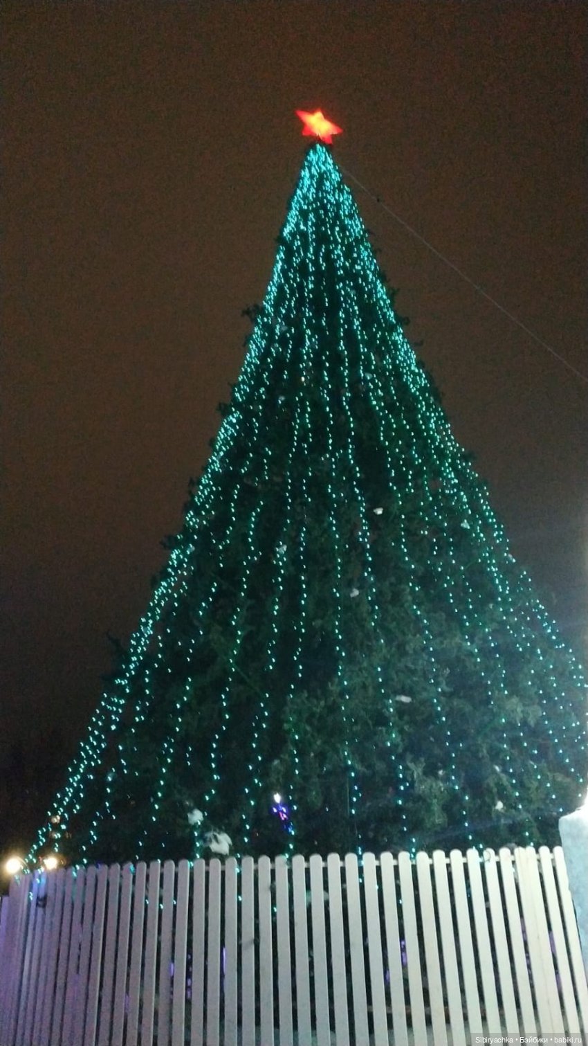 Как Настенька и Ананас Ананасович Сибирский в лесу гуляли