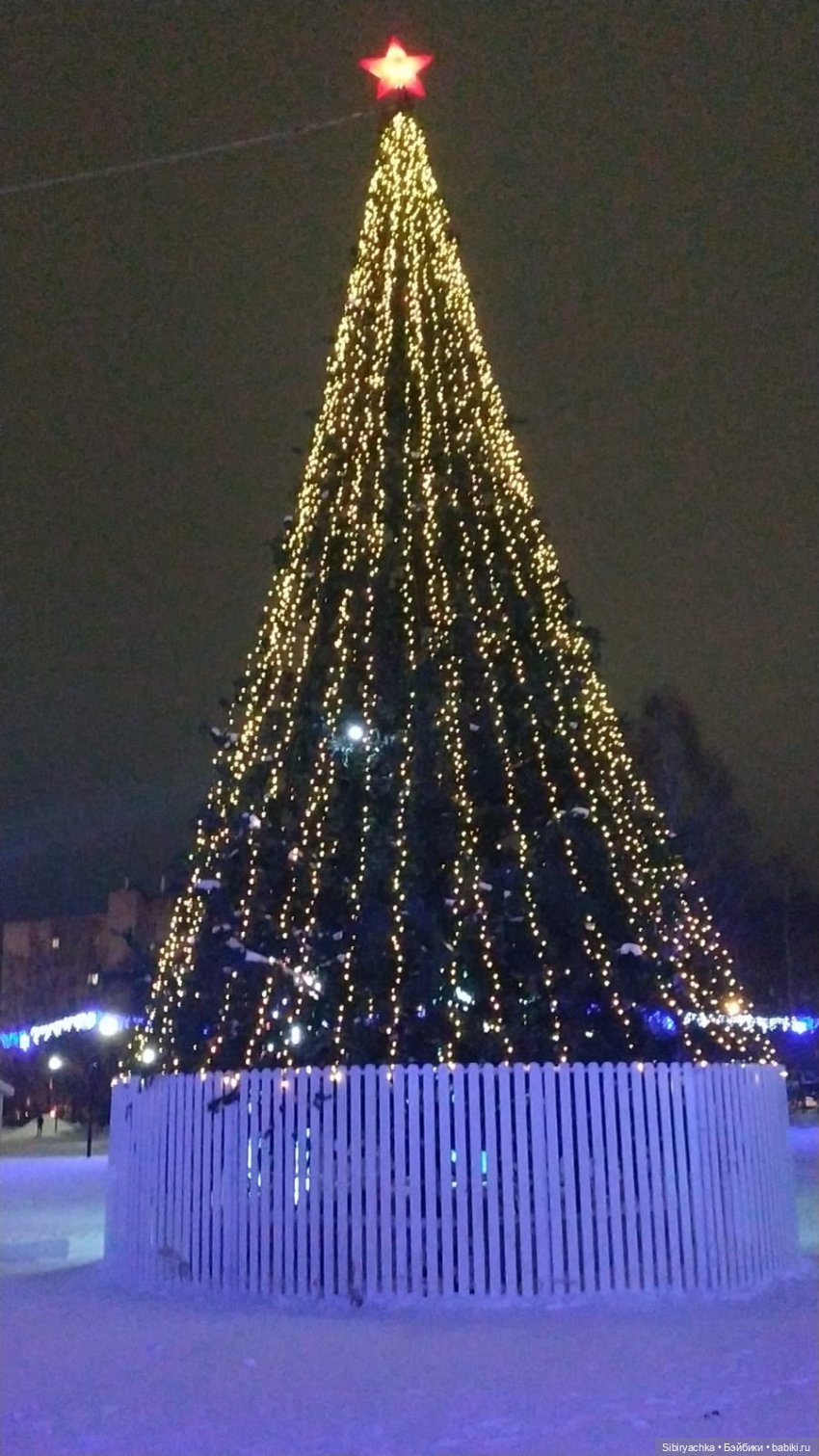 Как Настенька и Ананас Ананасович Сибирский в лесу гуляли (фото 9)