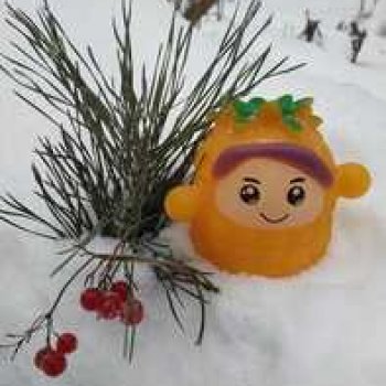 Как Настенька и Ананас Ананасович Сибирский в лесу гуляли.